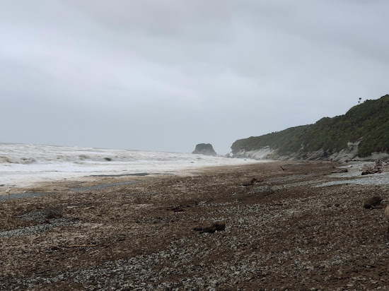 Point Elizabeth Beach