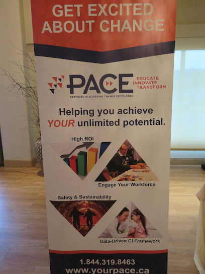PACE.global Change Management & Technology Consultants