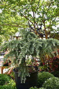 Gardener's Outpost - Photo 8 - Car repair in Columbia, SC, Columbia