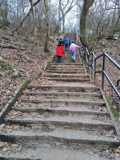 Turul lépcső /Stairway to Turul Bird