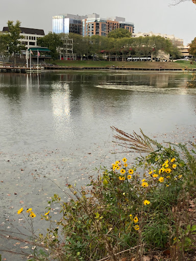 Grocery Store «Whole Foods Market», reviews and photos, 10275 Little Patuxent Pkwy, Columbia, MD 21044, USA