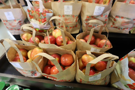 Grocery Store «Food Lion», reviews and photos, 377 W Jackson St, Cookeville, TN 38501, USA