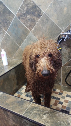 Pet Supply Store «Pet Valu», reviews and photos, 1611 Boston Post Rd, Milford, CT 06460, USA