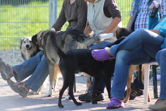Hundezentrum Alpenrod Öffnungszeiten