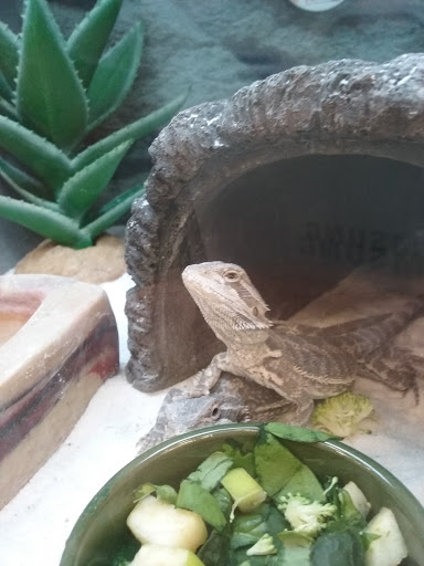 Pet Supply Store «Petco Animal Supplies», reviews and photos, 3577 S Rainbow Blvd, Las Vegas, NV 89103, USA