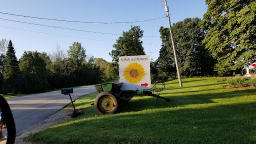 Lannon Sunflower Farm