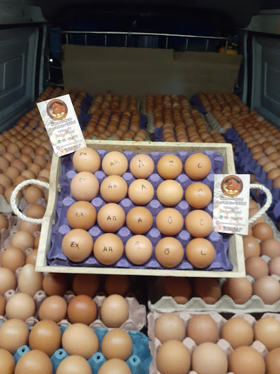 Distribuidora de Huevos