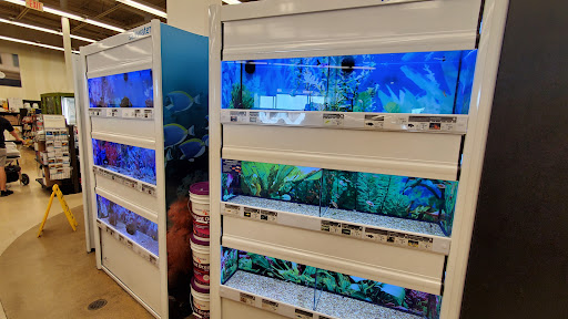 Pet Supply Store «Petco Animal Supplies», reviews and photos, 2565 NE 10th Ct, Homestead, FL 33035, USA