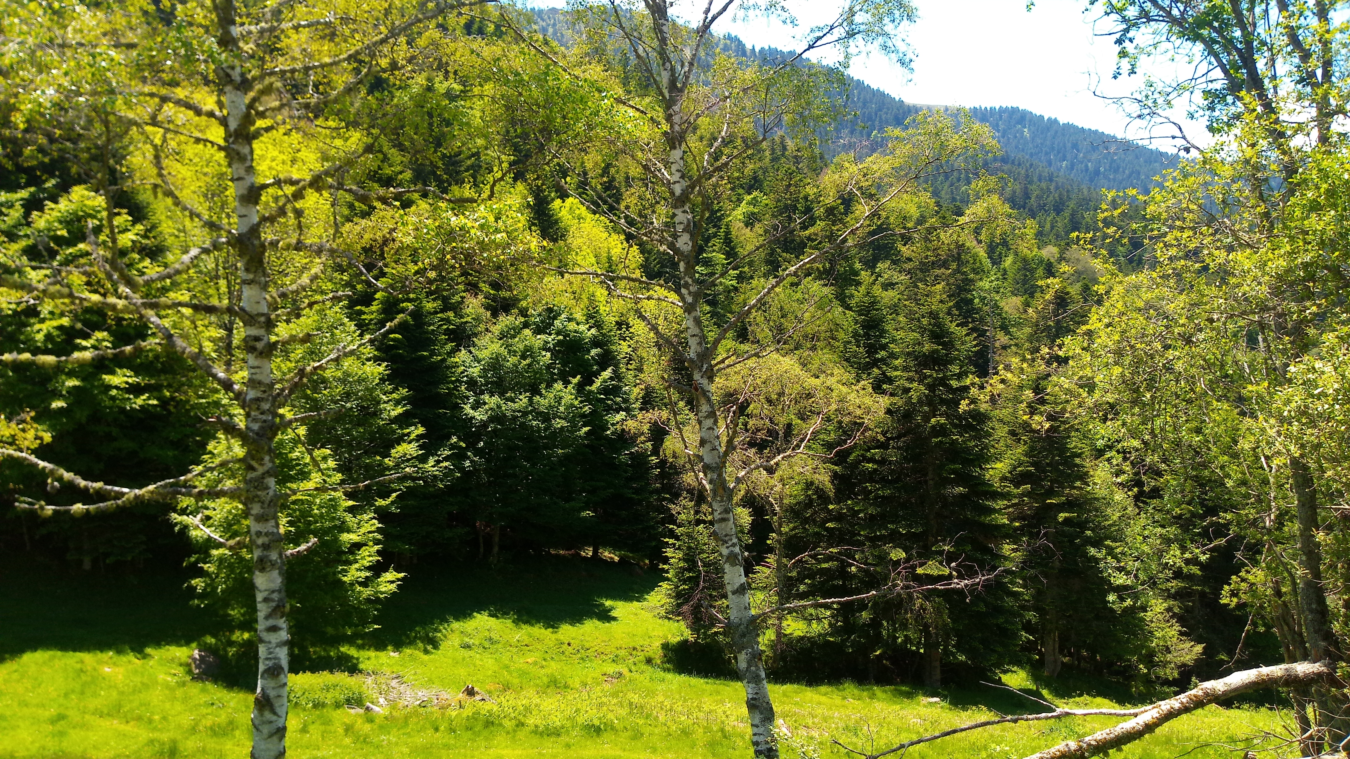 Photo n° 5 de l'avis de Hypnose.e fait le 01/07/2019 à 07:26