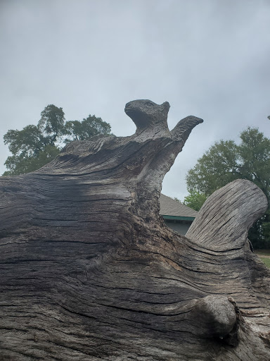 Park «Getzendaner Park», reviews and photos, 400 S Grand Ave, Waxahachie, TX 75165, USA