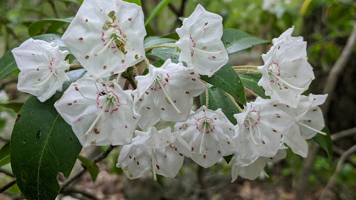 Nature Preserve «The New Weis Center for Education, Arts & Recreation», reviews and photos, 150 Snake Den Rd, Ringwood, NJ 07456, USA