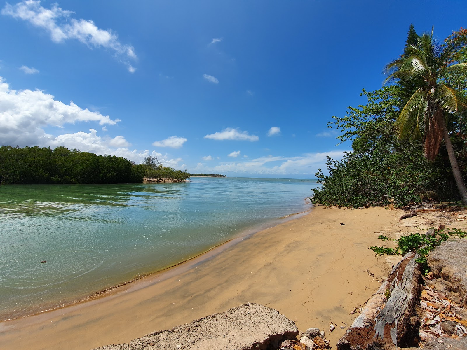 Balgal Beach photo #7