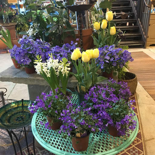 Garden Center «Victoria Gardens», reviews and photos, 1 Cottekill Rd, Rosendale, NY 12472, USA
