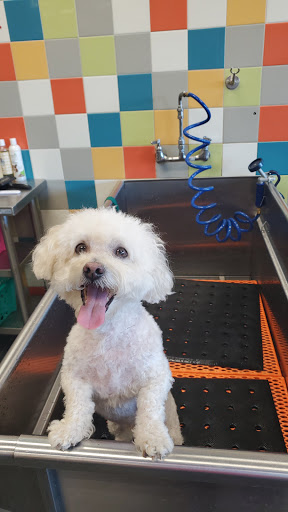 Pet Supply Store «Unleashed by Petco», reviews and photos, 283 S Van Dorn St, Alexandria, VA 22304, USA