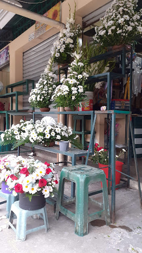Opiniones de Mercado de las Flores en Guayaquil - Floristería