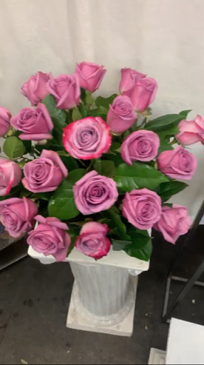 Florist «Hollywood Florist», reviews and photos, 1700 Stuyvesant Ave, Union, NJ 07083, USA