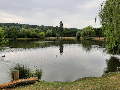 Carpodrome de Laurielle à Condé-sur-Risle