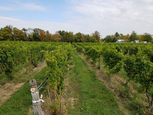 Winery «Hosmer Winery», reviews and photos, 7020 NY-89, Ovid, NY 14521, USA