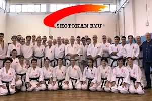 Shotokan Ryu image