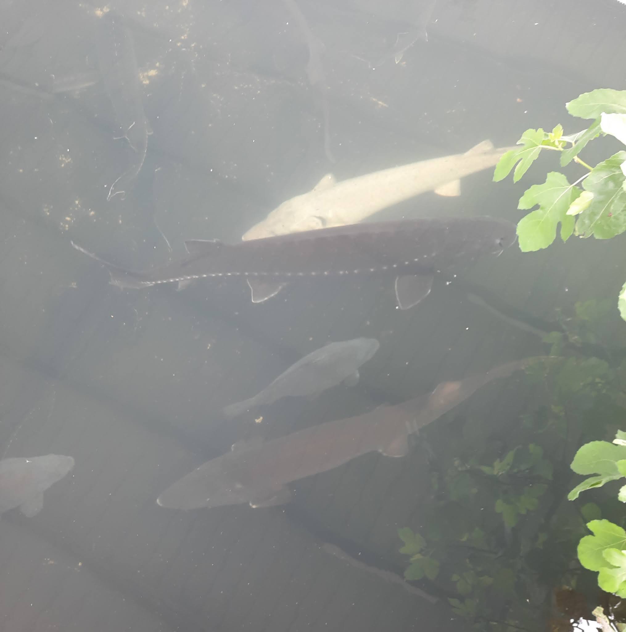 Photo n° 1 de l'avis de Bastien.a fait le 17/06/2021 à 14:06