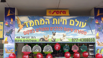 תמונה