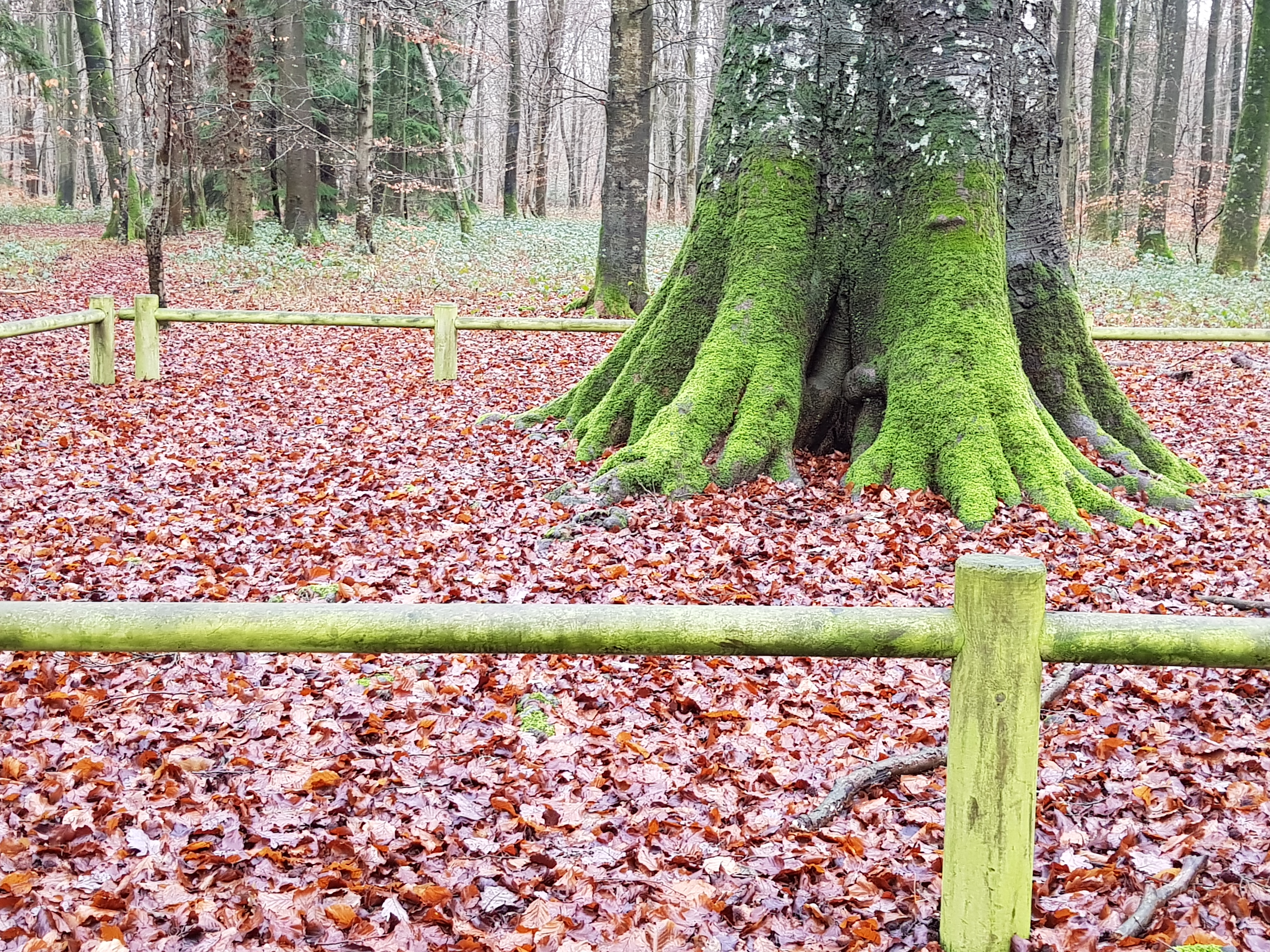 Photo n° 4 de l'avis de Lo.e fait le 24/12/2018 à 22:08