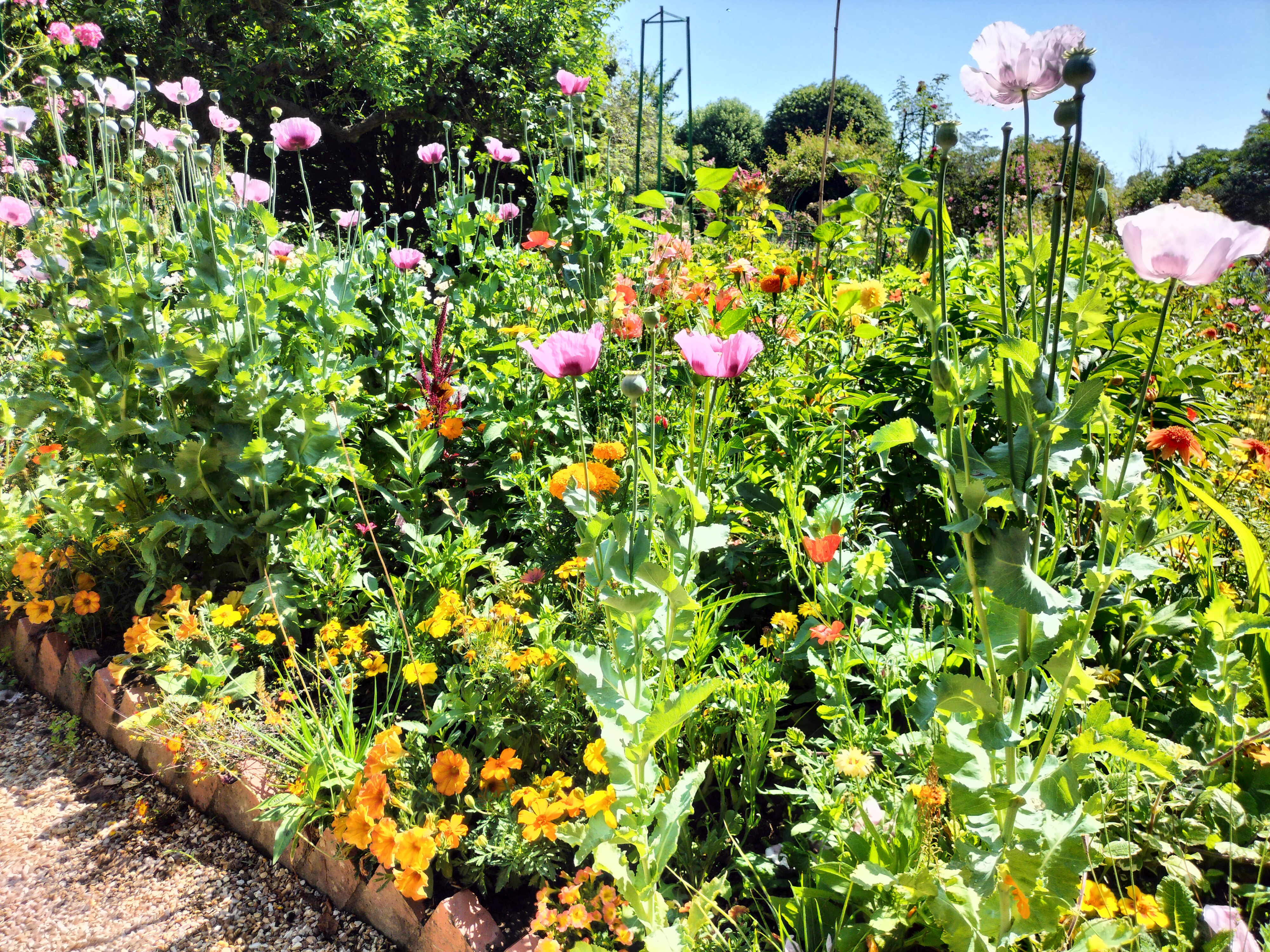 Photo n° 14 de l'avis de didier.e fait le 15/06/2023 à 13:38
