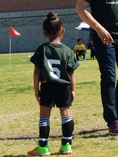 Sports Complex «Norwalk Arts & Sports Complex», reviews and photos