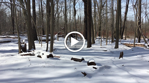 Nature Preserve «Reinstein Woods Nature Preserve», reviews and photos, 93 Honorine Dr, Depew, NY 14043, USA