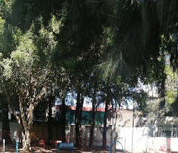 para perros Altamira Park photo