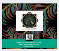 Avant Exclusive, LLC - Photo 3 - Car repair in Hatillo, Puerto Rico, Arecibo