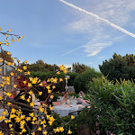 Photo n°17 de l'avis de Tarek.T fait le 13/06/2022 à 23:53 sur le  Pedri Garden Restaurant à Porto Cervo