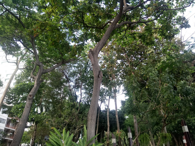 Jardín Mágico Malecón 2000 - Guayaquil