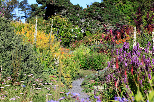 Tourist Attraction «Mendocino Coast Botanical Gardens», reviews and photos, 18220 CA-1, Fort Bragg, CA 95437, USA