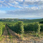 Photo n°3 de l'avis de Patrick.� fait le 06/07/2022 à 16:09 sur le  Camping Sole Langhe à Vergne