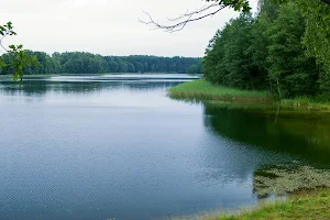 Avirio ežero maudykla image