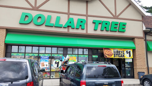 Dollar Store «Dollar Tree», reviews and photos, 250 Jericho Turnpike #80, Floral Park, NY 11001, USA