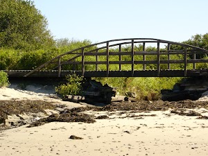 Kettle Cove - photo 40