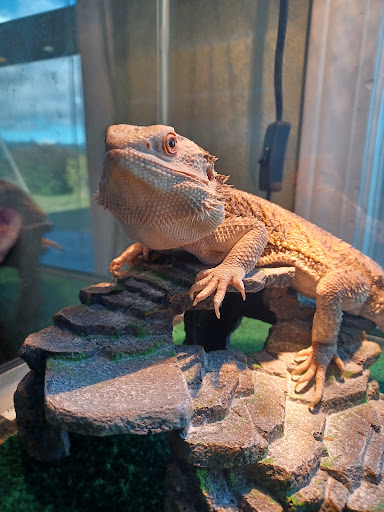 Pet Supply Store «Petco Animal Supplies», reviews and photos, 1619 SE Ensign Ln, Warrenton, OR 97146, USA