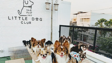 Little Dog Club