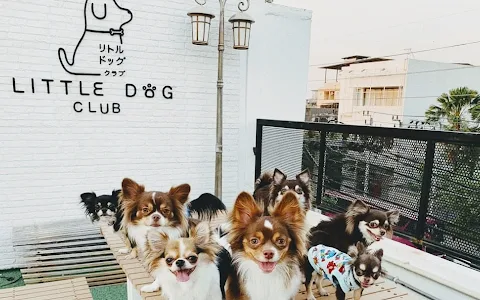 Little Dog Club image