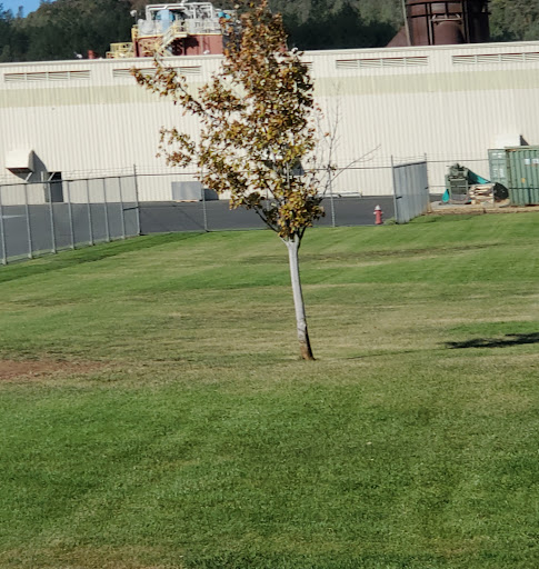 Insulation Contractor «Knauf Fiberglass», reviews and photos