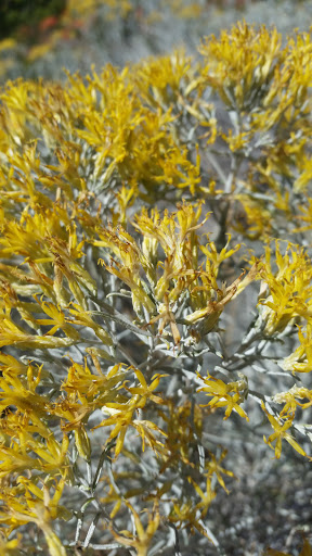 Used Car Dealer «Berge Auto», reviews and photos, 199 800 N, Orem, UT 84057, USA