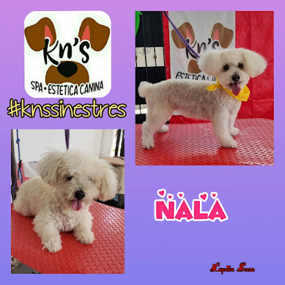 KN'S Spa Canino by Lupita Sosa