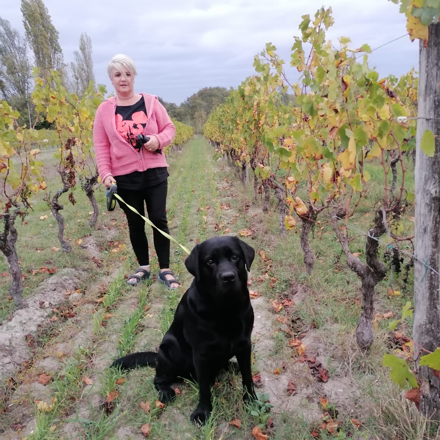 Photo n° 1 de l'avis de Ali. fait le 31/10/2022 à 17:30