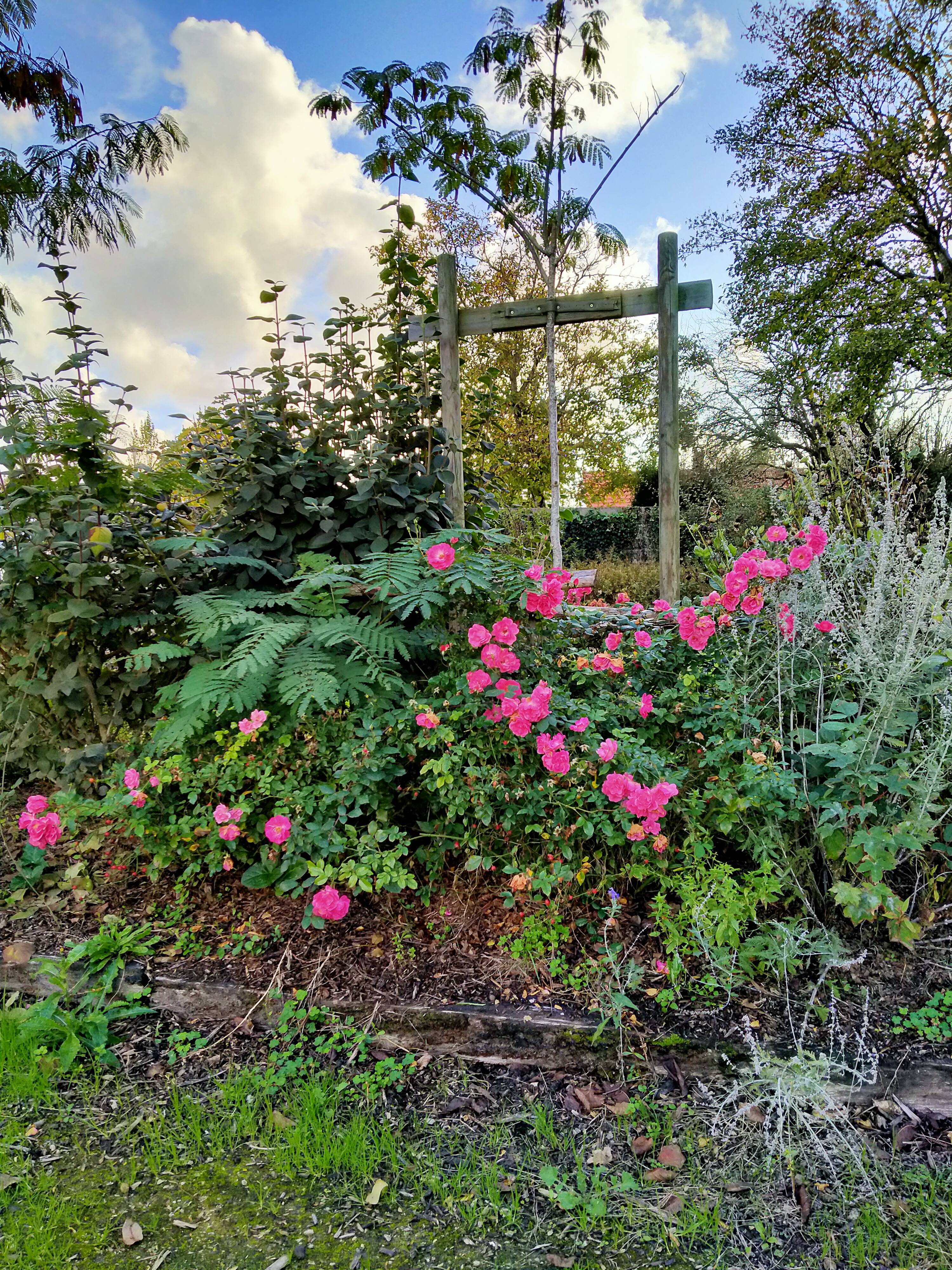 Photo n° 3 de l'avis de Anailine. fait le 30/10/2022 à 17:14