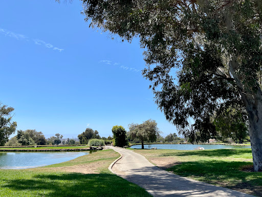 Public Golf Course «Chester Washington Golf Course», reviews and photos, 1818 Charlie Sifford Dr, Los Angeles, CA 90047, USA