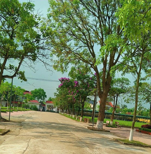 Top 20 cửa hàng haichi Huyện Yên Lạc Vĩnh Phúc 2022
