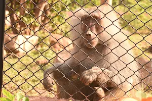 Sloth Bear Enclosure image