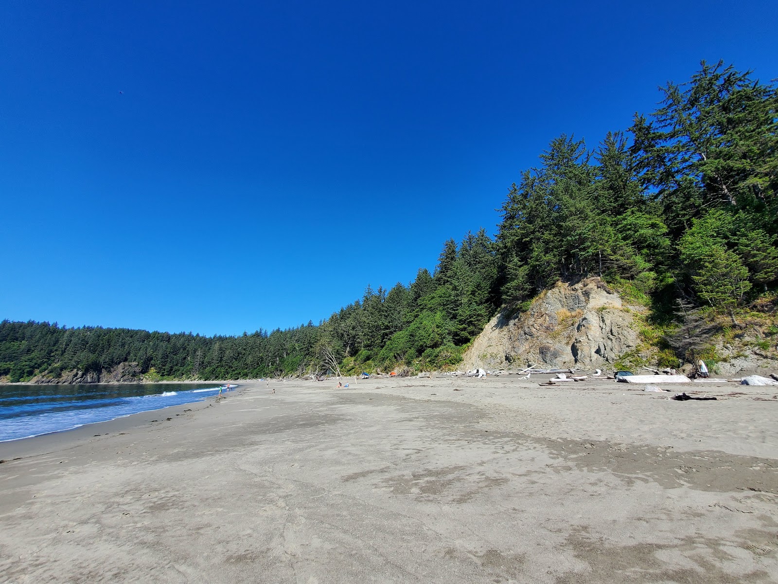 Third Beach Quileute Res.的照片 带有灰沙表面